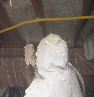Fremont CA crawl space insulation
